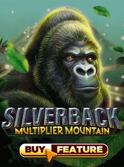 সিলভারব্যাক_ মাল্টিপ্লায়ার মাউন্টেন